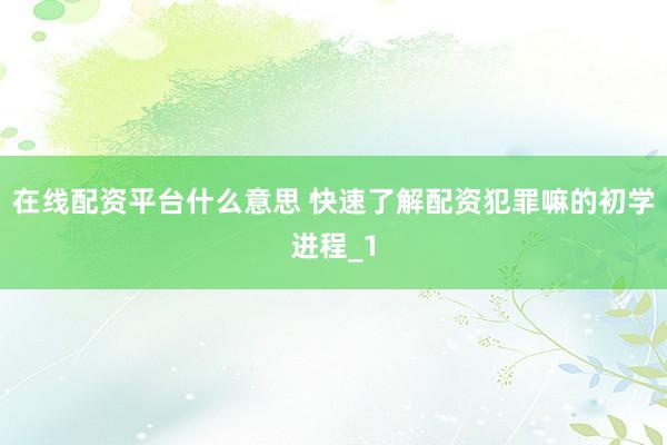 在线配资平台什么意思 快速了解配资犯罪嘛的初学进程_1