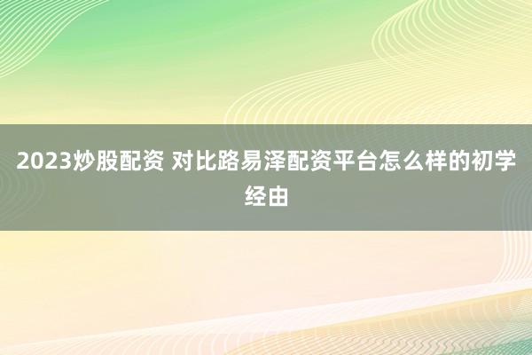 2023炒股配资 对比路易泽配资平台怎么样的初学经由
